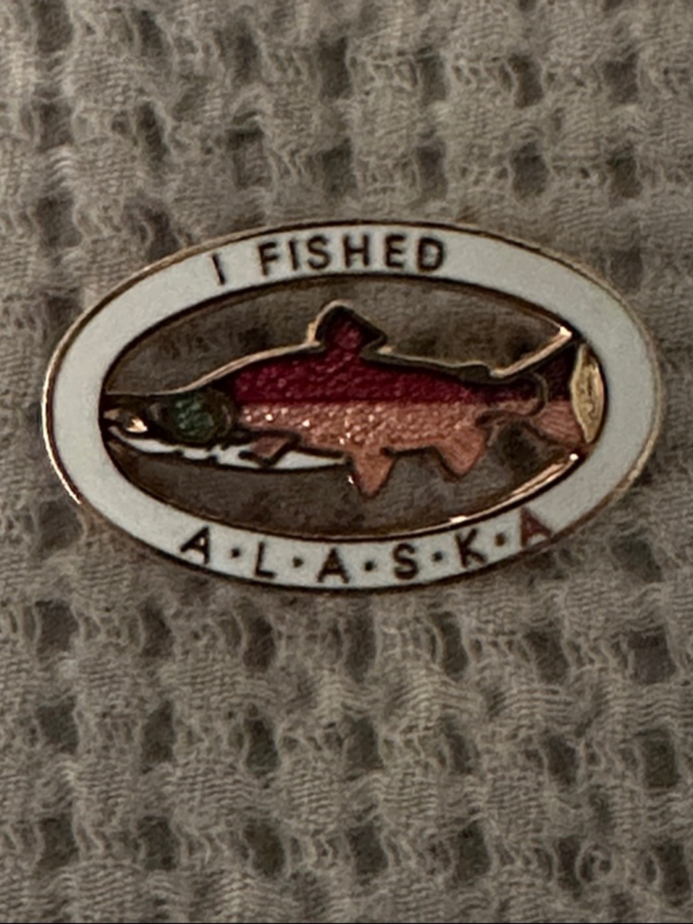 I Fished Alaska Pin